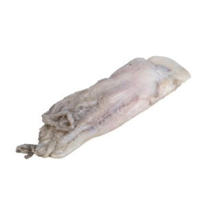 Pulpo 1-2